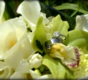 seneca-wedding-1